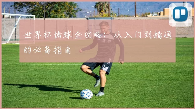 世界杯堵球全攻略:从入门到精通的必备指南