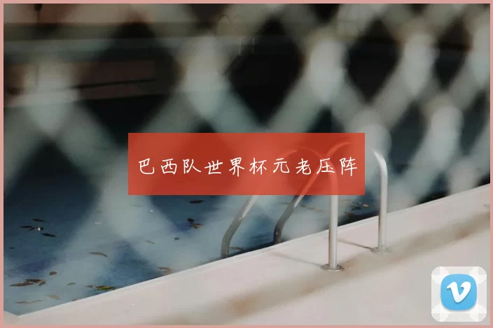 巴西队世界杯元老压阵