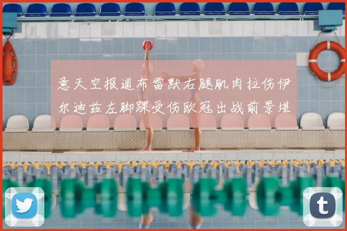 意天空报道布雷默右腿肌肉拉伤伊尔迪兹左脚踝受伤欧冠出战前景堪忧