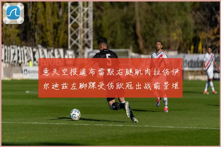 意天空报道布雷默右腿肌肉拉伤伊尔迪兹左脚踝受伤欧冠出战前景堪忧