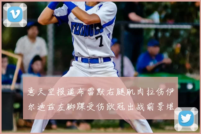 意天空报道布雷默右腿肌肉拉伤伊尔迪兹左脚踝受伤欧冠出战前景堪忧