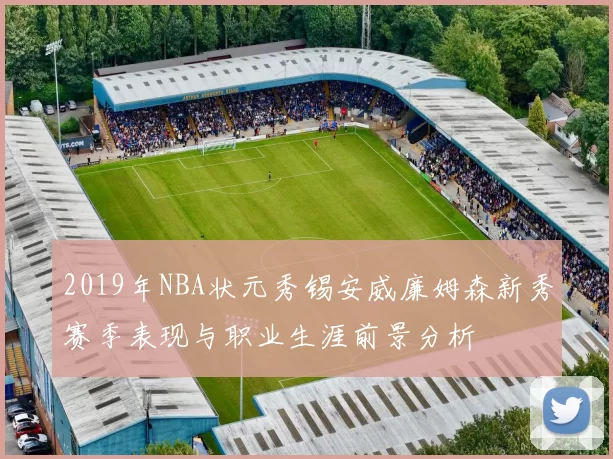 2019年NBA状元秀锡安威廉姆森新秀赛季表现与职业生涯前景分析