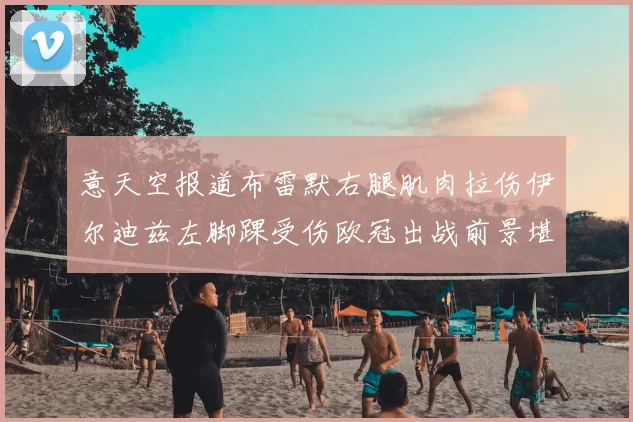 意天空报道布雷默右腿肌肉拉伤伊尔迪兹左脚踝受伤欧冠出战前景堪忧