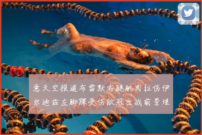意天空报道布雷默右腿肌肉拉伤伊尔迪兹左脚踝受伤欧冠出战前景堪忧