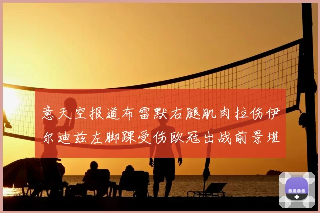 意天空报道布雷默右腿肌肉拉伤伊尔迪兹左脚踝受伤欧冠出战前景堪忧
