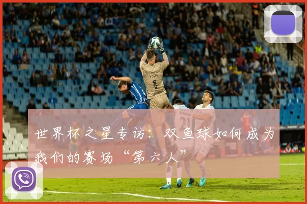 世界杯之星专访：双鱼球如何成为我们的赛场“第六人”