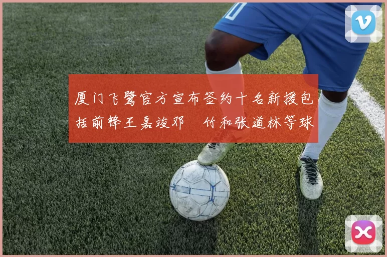 厦门飞鹭官方宣布签约十名新援包括前锋王嘉竣邓棽竹和张道林等球员