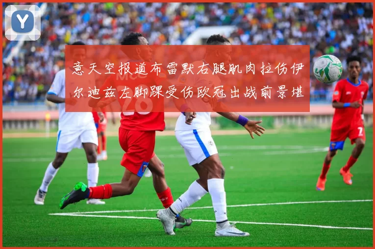 意天空报道布雷默右腿肌肉拉伤伊尔迪兹左脚踝受伤欧冠出战前景堪忧