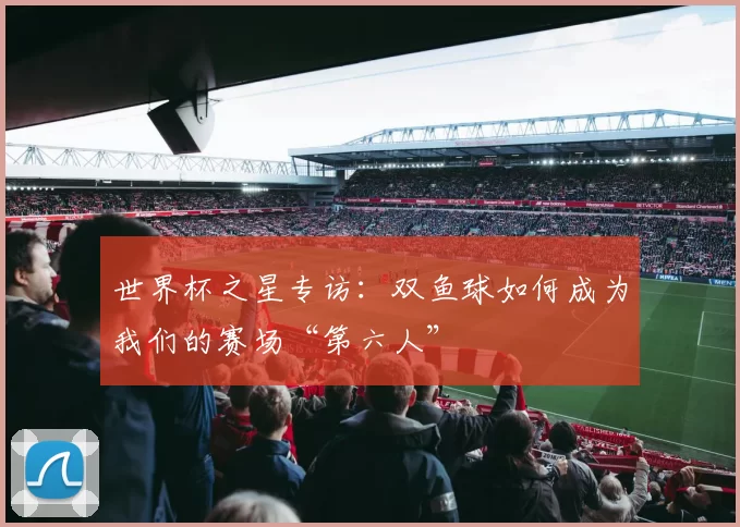世界杯之星专访：双鱼球如何成为我们的赛场“第六人”