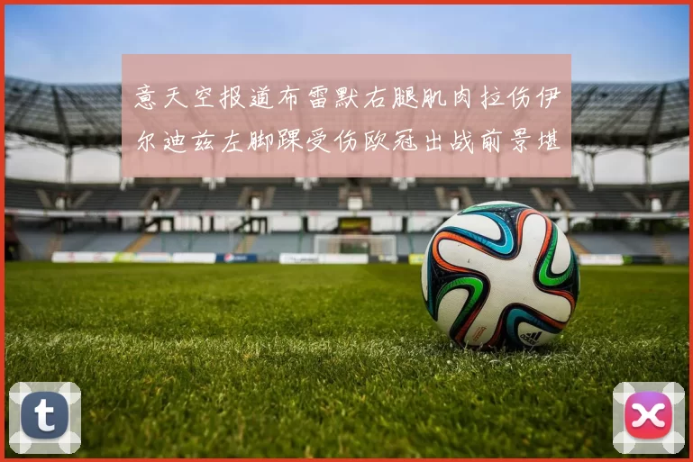 意天空报道布雷默右腿肌肉拉伤伊尔迪兹左脚踝受伤欧冠出战前景堪忧