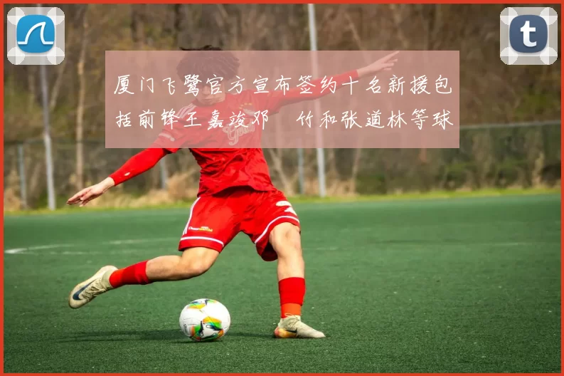 厦门飞鹭官方宣布签约十名新援包括前锋王嘉竣邓棽竹和张道林等球员