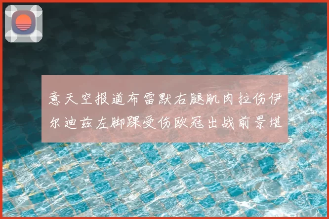 意天空报道布雷默右腿肌肉拉伤伊尔迪兹左脚踝受伤欧冠出战前景堪忧