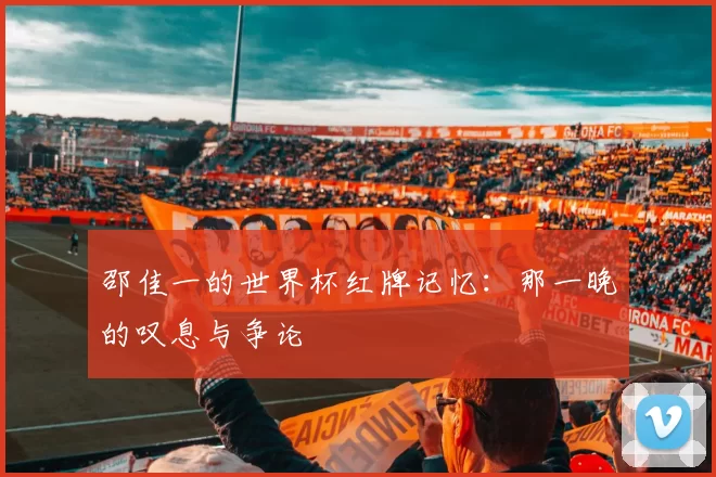 邵佳一的世界杯红牌记忆:那一晚的叹息与争论