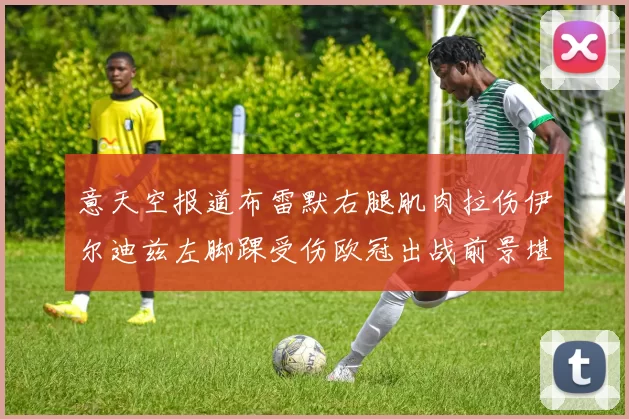 意天空报道布雷默右腿肌肉拉伤伊尔迪兹左脚踝受伤欧冠出战前景堪忧