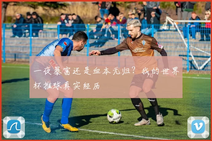 一夜暴富还是血本无归？我的世界杯推球真实经历