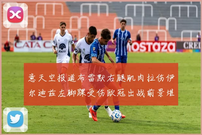 意天空报道布雷默右腿肌肉拉伤伊尔迪兹左脚踝受伤欧冠出战前景堪忧
