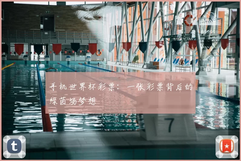 手机世界杯彩票：一张彩票背后的绿茵场梦想