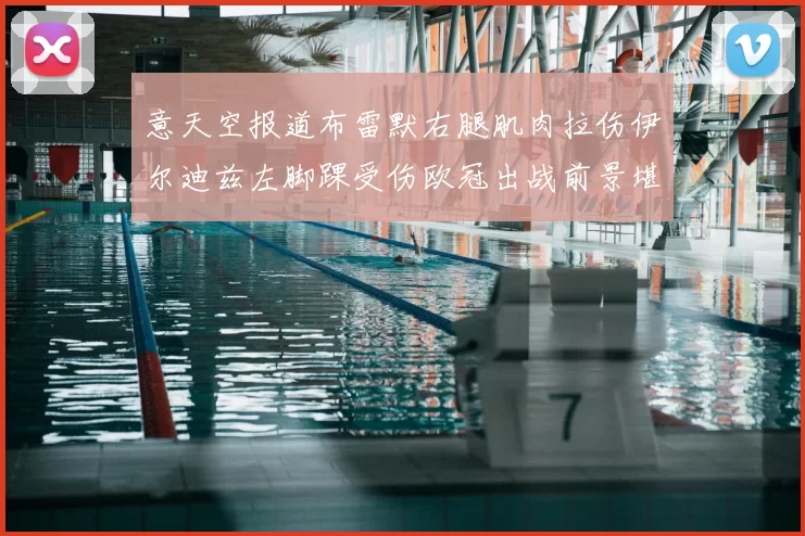 意天空报道布雷默右腿肌肉拉伤伊尔迪兹左脚踝受伤欧冠出战前景堪忧
